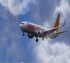 Pegasus Airline